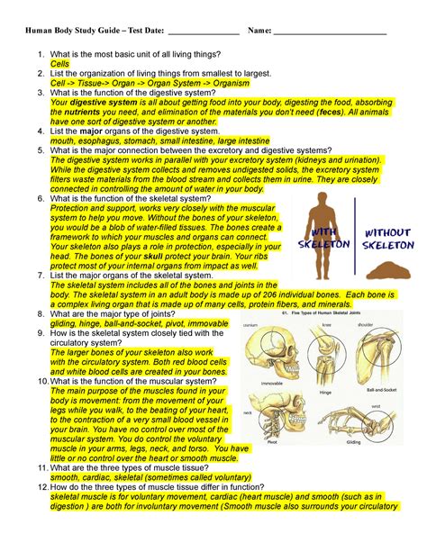 HUMAN BODY STUDY GUIDE ANSWERS PDF Ebook Kindle Editon