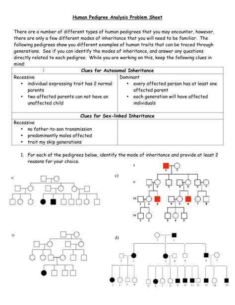 HUMAN PEDIGREE ANALYSIS PROBLEM SHEET ANSWER KEY Ebook Kindle Editon