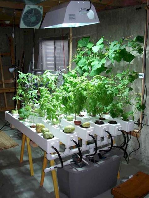 HYDROPONICS for Dummies Simple Guide on Growing Vegetables at Home Reader