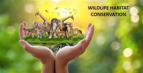 Habitat Conservation: