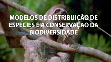 Habitat e Distribuição: