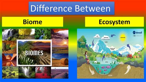 Habitats and Ecosystems