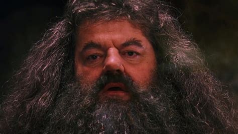 Hagrid's Humble Origins