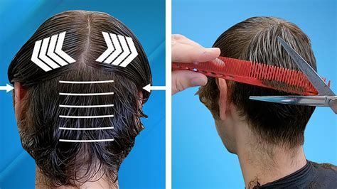 Hair Clipping 101: The Ultimate Guide