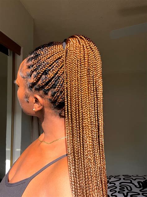 Hair Color 30 Braids: A Symphony of Hues and Styles