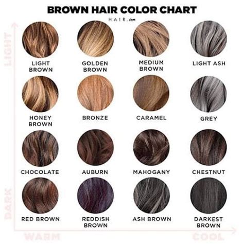 Hair Color Brown Shades Chart
