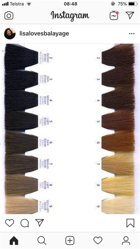 Hair Color Swatches 101: The Ultimate Guide