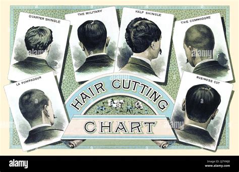 Hair Cutting Size Chart