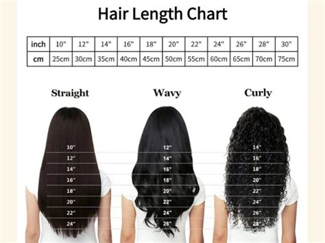 Hair Inch Chart: The Ultimate Guide to Hair Length