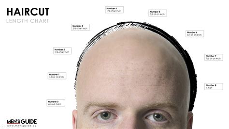 Hair Lengths Chart Men