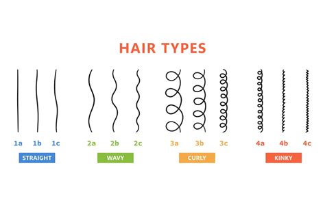 Hair Tpye Chart