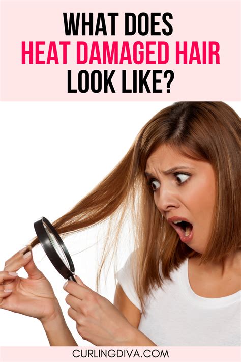 Hair-Raising Heat: Navigating the Pain Points of Summer