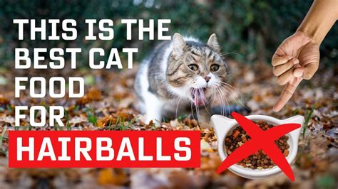 Hairball Cat Food: The Ultimate Solution to Your Cat's Hairball Woes