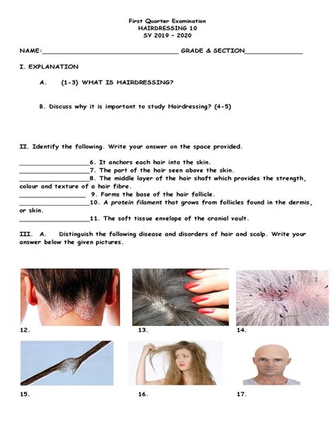 Hairdressing Exam Questions And Answers Gh9 Doc