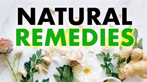 Haleyquinnia: The Ultimate Guide to Using This Powerful Flower for Natural Remedies