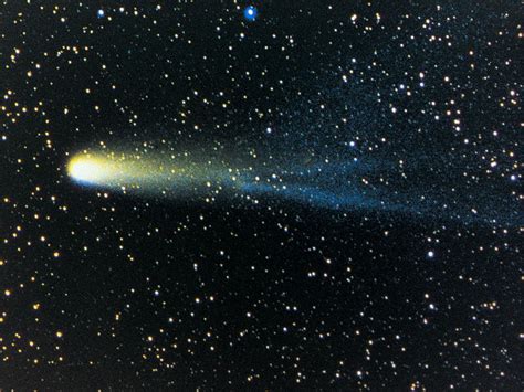 Halley's Comet: An Enigmatic Celestial Wanderer