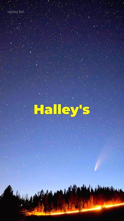 Halley's Comet: The Celestial Wanderer