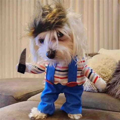 Halloween Shenanigans: Unleash the Cuteness of Puppies in Spooky Costumes