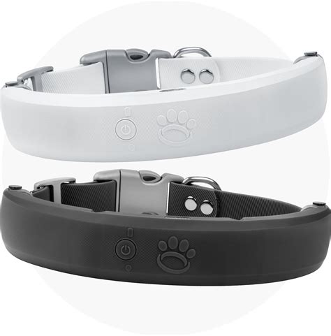 Halo 3 Dog Collar: The Ultimate Guide to Protecting and Personalizing Your Canine Companion