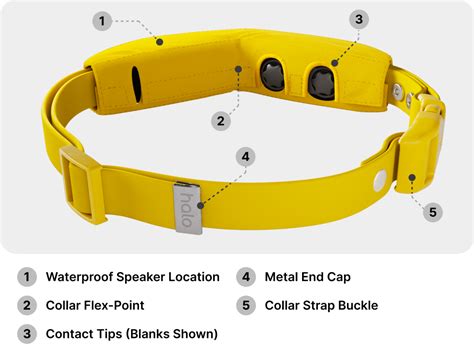 Halo Collar Size Chart