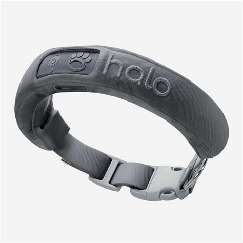 Halo Collar for pet-friendly workplaces