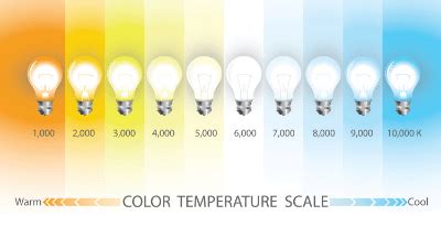 Halogens vs. LEDs: Unmasking the Battle for Illumination Dominance