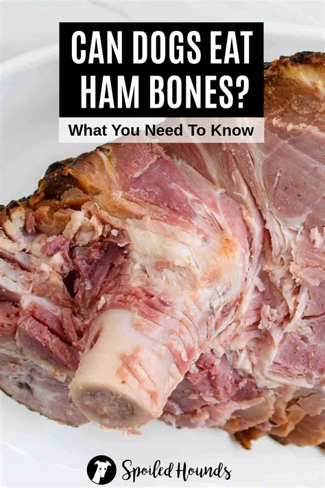 Ham Bones for Dogs: Everything You Need to Know