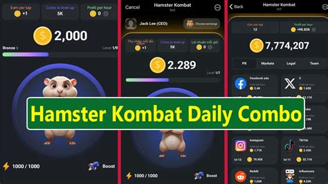 Hamster Kombat Daily Combo Cards: Master the Arena