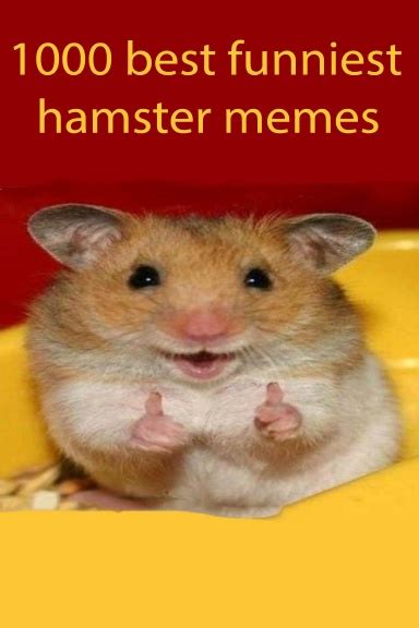 Hamster Meems: 10,000+ Reasons to Smile