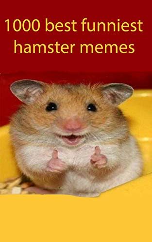 Hamster Memes 101: The Ultimate Guide to Fueling Your Social Media Presence