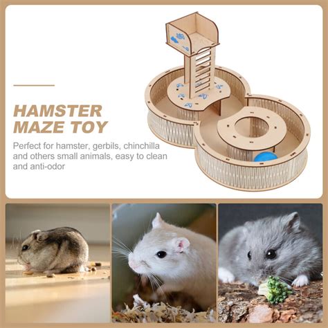 Hamster Training: