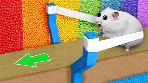 Hamster Web Maze: