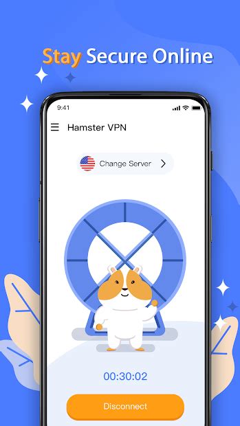 HamsterVPN: The Ultimate VPN for Your Hamster's Online Security