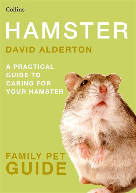 Hamsters: The Ultimate Guide to Caring for Your Pocket-Sized Pet