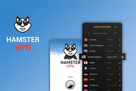 Hamsters VPN: 500+ Servers & Unblock 200+ Streaming Services