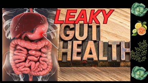 Hanaowo Leak: Uncovering the Hidden Dangers of Leaky Gut