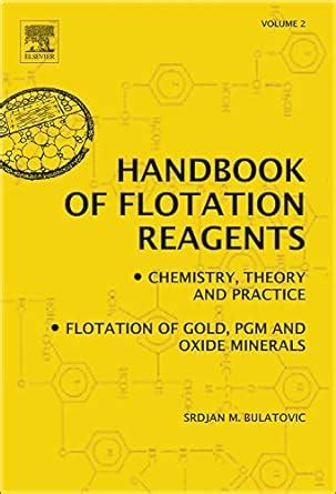 Handbook of Flotation Reagents: Chemistry, Theory and Practice, Vol. 2 Flotation of Gold, PGM and O Epub