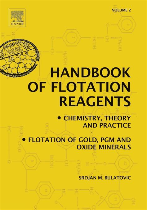 Handbook of Flotation Reagents: Chemistry, Theory and Practice, Vol. 2 Flotation of Gold, PGM and O Epub