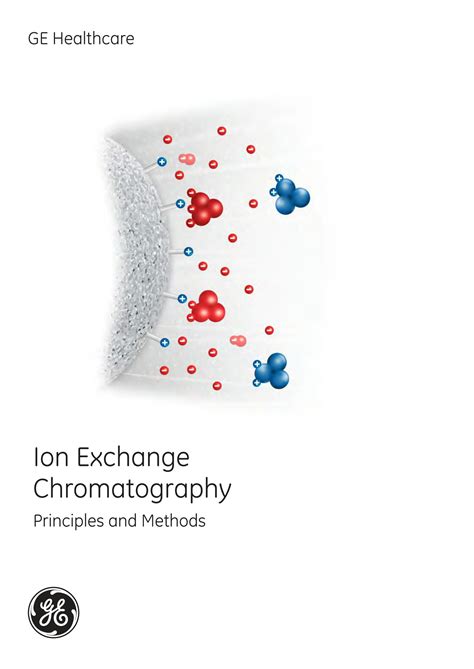 Handbook of Ion Chromatography Epub