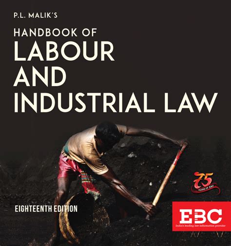 Handbook of Labour and Industrial Law Epub