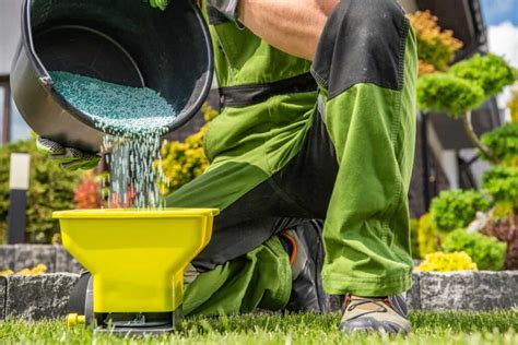 Handheld Fertilizer Spreaders: A Guide to Choosing the Right One for Your Yard