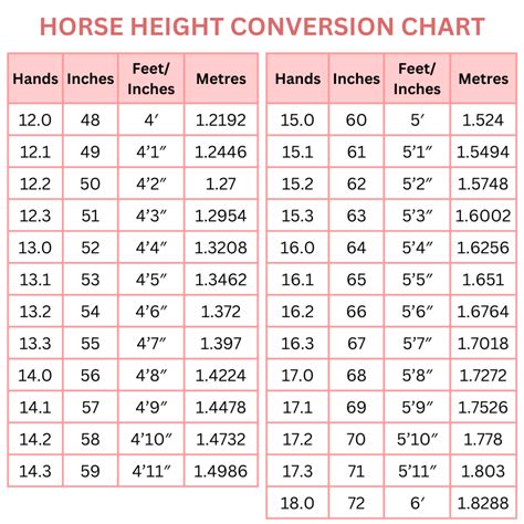 Hands Converted to Inches: Unveiling the True Size of Your Hands