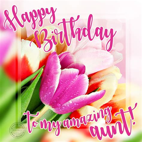 Happy Birthday to My Amazing Aunt!