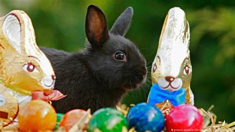 Happy Easter Across Europe Reader