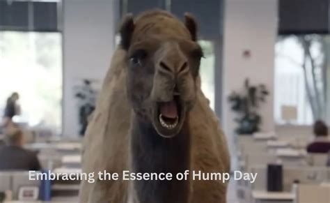 Happy Hump Day: Embracing the Midweek Momentum