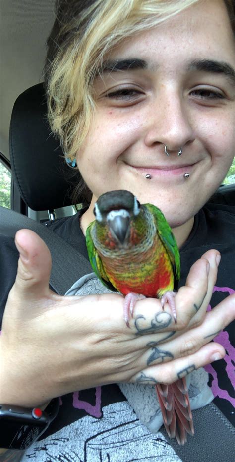 Happy and Polly for parrot owners