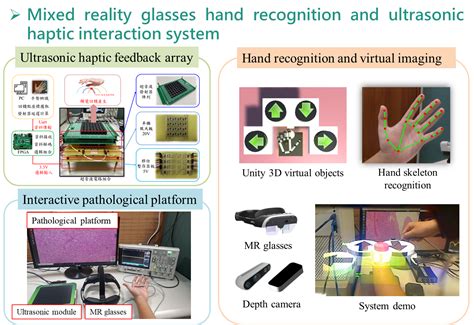 Haptic Feedback System: