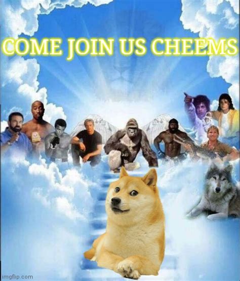 Harambe Doge: The Unforgettable Meme Sensation