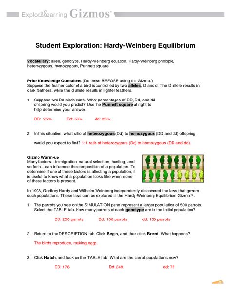 Hardy Weinberg Equilibrium Gizmo Answers PDF