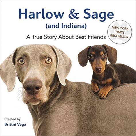 Harlow and Sage and Indiana A True Story About Best Friends Doc